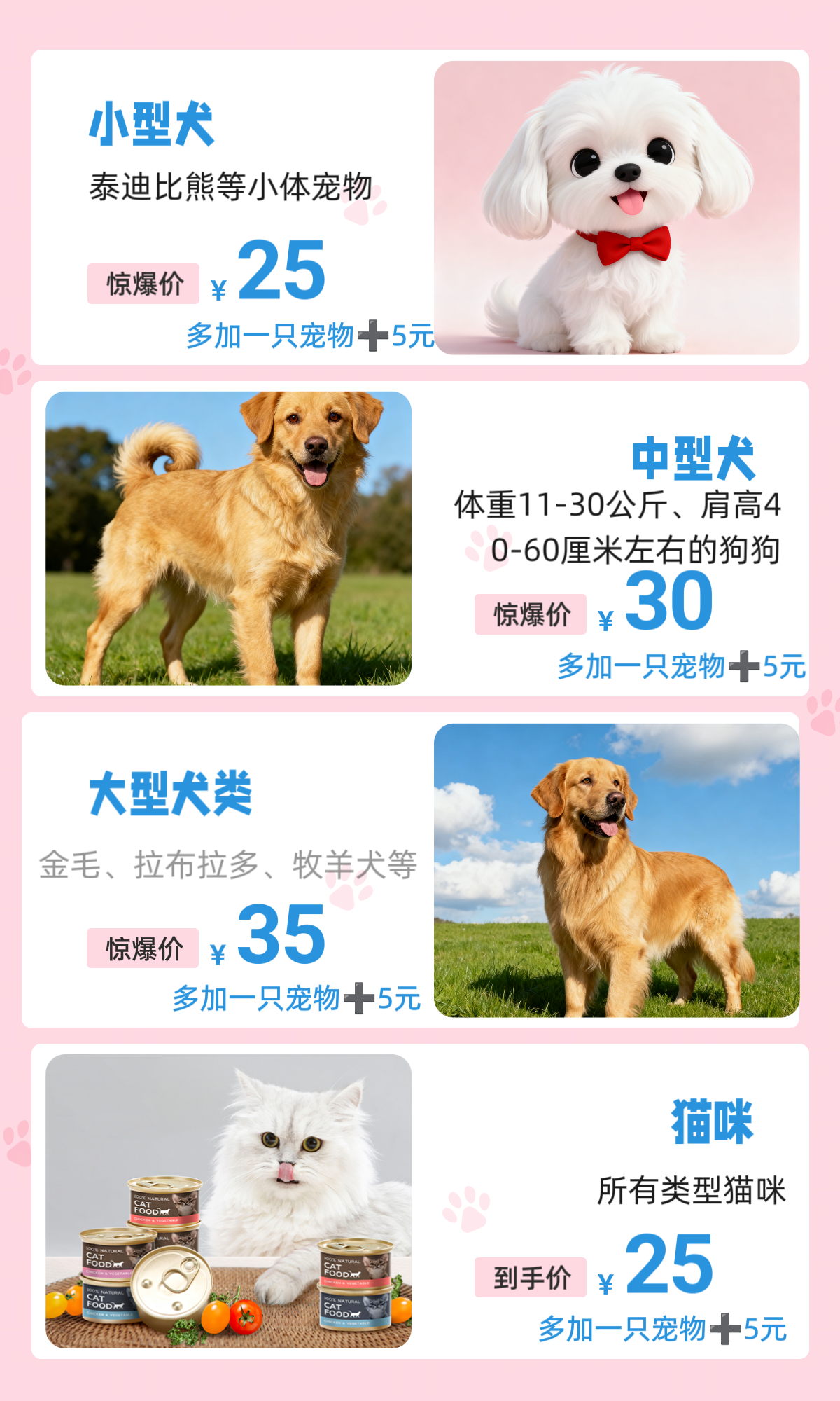 图片[2]-（芒果宠物上门喂养）注意事项等其他内容-芒果工作室