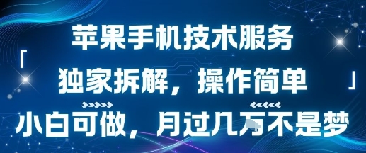 苹果手机技术服务，独家拆解，操作简单，小白可做，月过1W不是梦-聚星轻创-轻创终点站