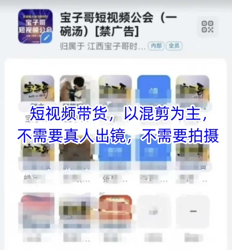 宝子哥头部团队短视频带货，以混剪为主，不需要真人出镜，不需要拍摄【更新8月】-聚星轻创-轻创终点站