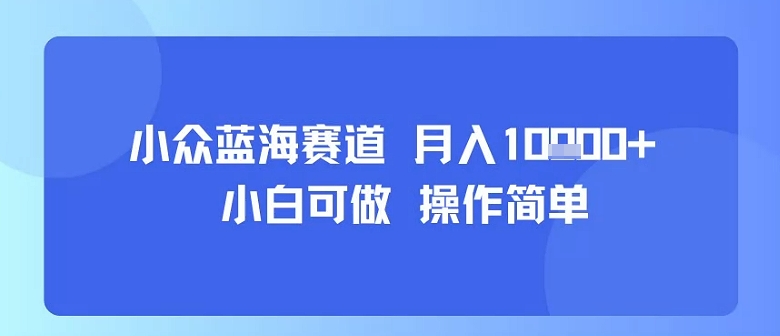 小众蓝海赛道，小白可做，操作简单，每天30分钟，月入1W+-聚星轻创-轻创终点站