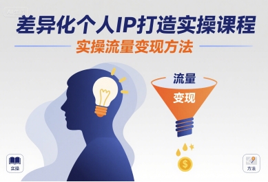 差异化个人IP打造实操课程，实操流量变现方法-北辰工作室