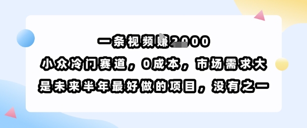 一条视频挣1k，小众冷门赛道，0成本，市场需求大，是未来半年最好做的项目，没有之一-聚星轻创-轻创终点站
