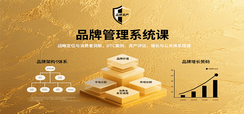 品牌管理系统课：战略定位与消费者洞察，DTC案例、资产评估，增长与公关体系搭建-北辰工作室