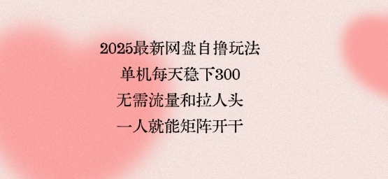 2025最新网盘自撸玩法，单机每天稳下3张，无需流量和拉人头，一个人就可轻松矩阵，全网独一份【揭秘】-北辰工作室