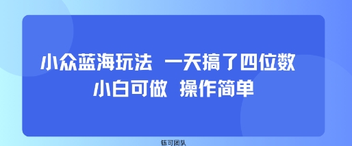 小众蓝海玩法 一天搞了四位数 小白可做 操作简单-北辰工作室
